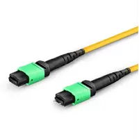 MPO Test Leads
